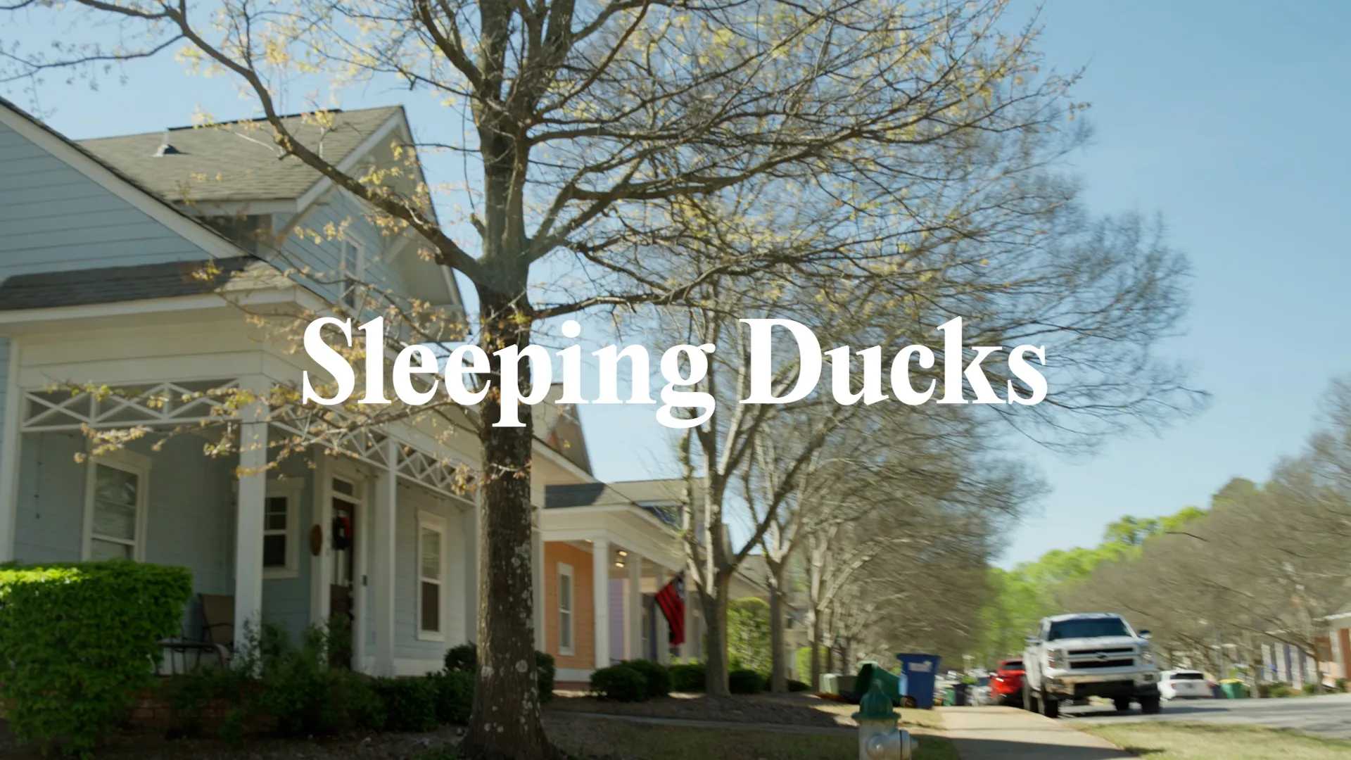 Sleeping Ducks